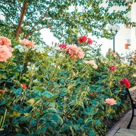 Sunset Dreams Apartman Ravda